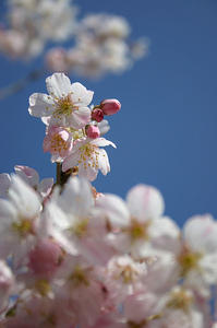 1124.jpgのサムネール画像