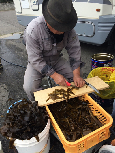 2015041313.jpgのサムネール画像