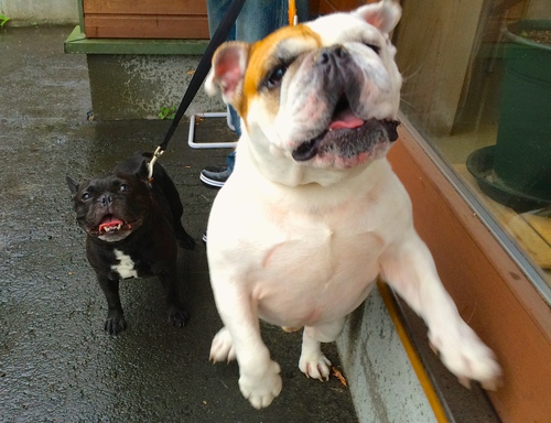 IMG_1695.JPGのサムネール画像