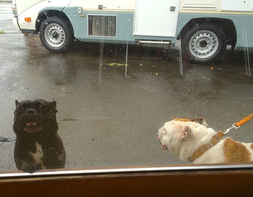 IMG_1696.JPGのサムネール画像