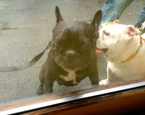 IMG_1701.JPGのサムネール画像