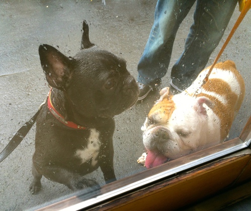 IMG_1703.JPGのサムネール画像