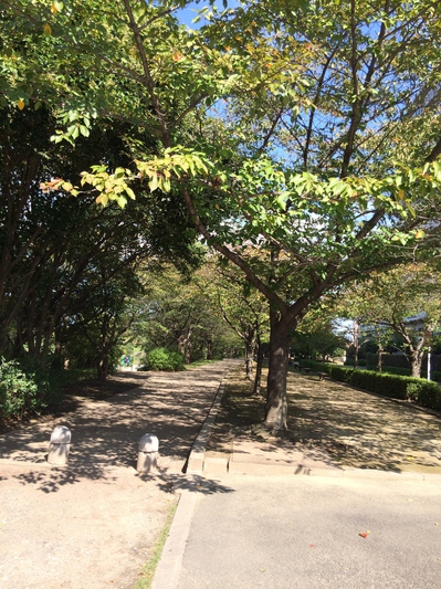 IMG_0320.jpeg